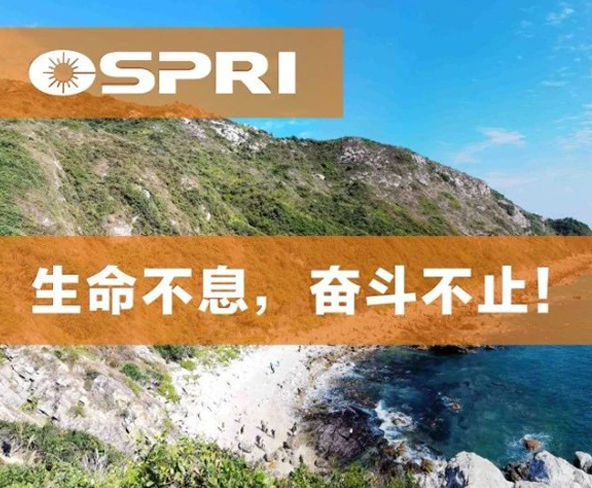 越過山丘 ，才發(fā)現(xiàn)最美深圳在等候